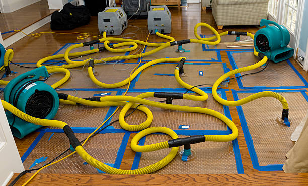 Professional Sewage Cleanup technician working in Pacific Junction, IA